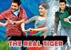 The Real Tiger (Dookudu)