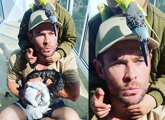 Chris Hemsworth to share a loveable pic with son's pets!