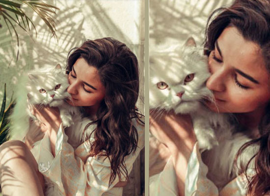 Alia Bhatt to share a loveable pic with her pet kitty!