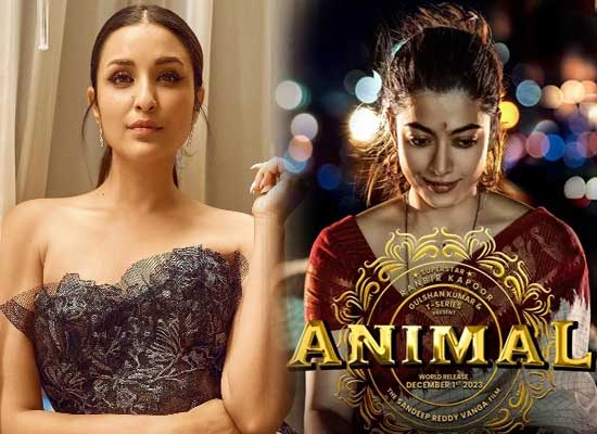 Parineeti Chopra turns down Rashmika Mandanna's role in Ranbir Kapoor starrer Animal?