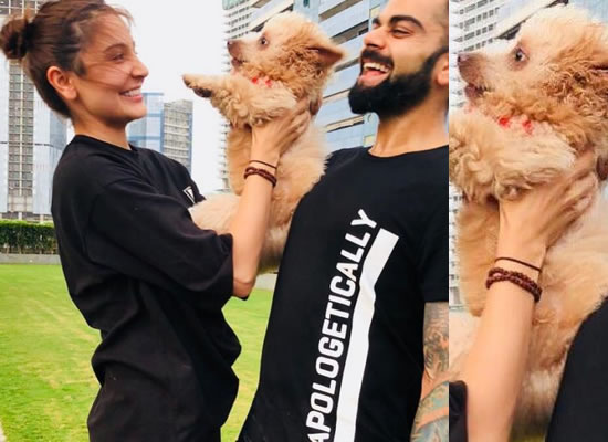 Anushka and Virat's happy moments with a cute puppy!