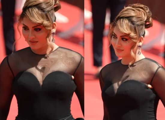 Urvashi Rautela Cannes Dress Explanation: A Heartfelt Revelation!