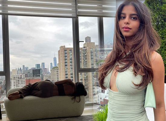 Suhana Khan's aesthetic glimpse from her swanky apartment!