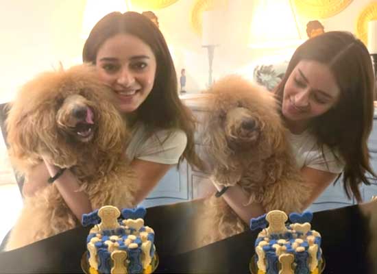 Ananya Panday celebrates her dog Riot's first birthday with a bone-shaped cake!