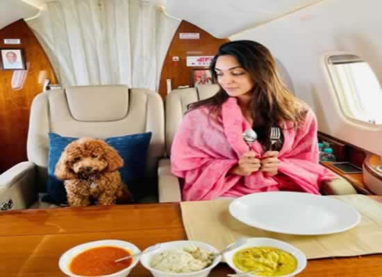 Kiara Advani's 'best breakfast date ever' with Ram Charan's pet dog on flight!