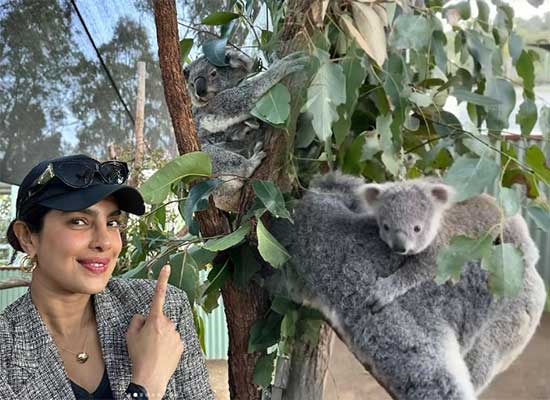 Priyanka Chopra meets 8-month-old Koala named after her in Australia!