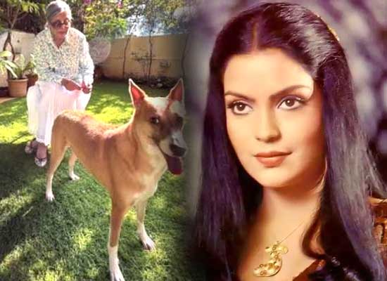 Zeenat Aman opens up on live-in relationships in new post!