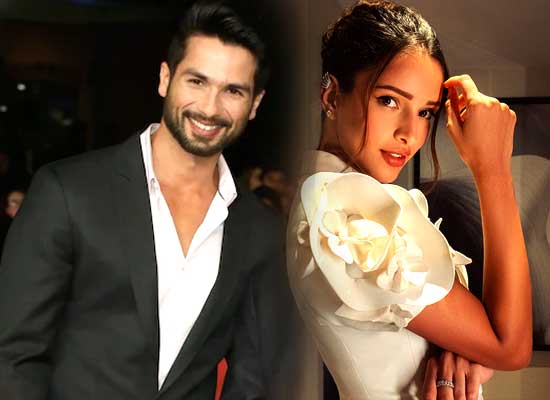 Shahid Kapoor and Triptii Dimri unite for Vishal Bhardwaj's yet untitled action-packed thriller!