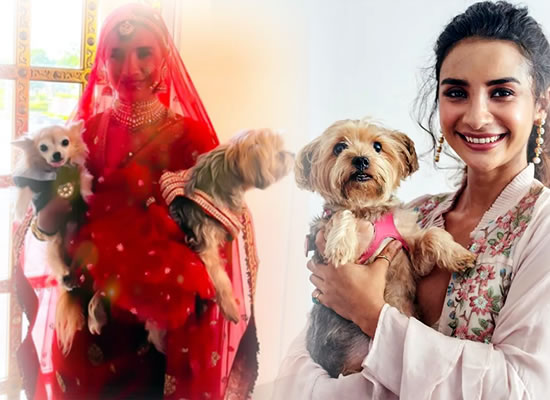 Bride Patralekhaa's loveable moments with furry friends at her wedding!